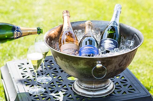ice bucket with sparkling wine glasses