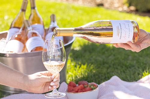 Avant-Garde Rose bottle on picnic blanket with glasses