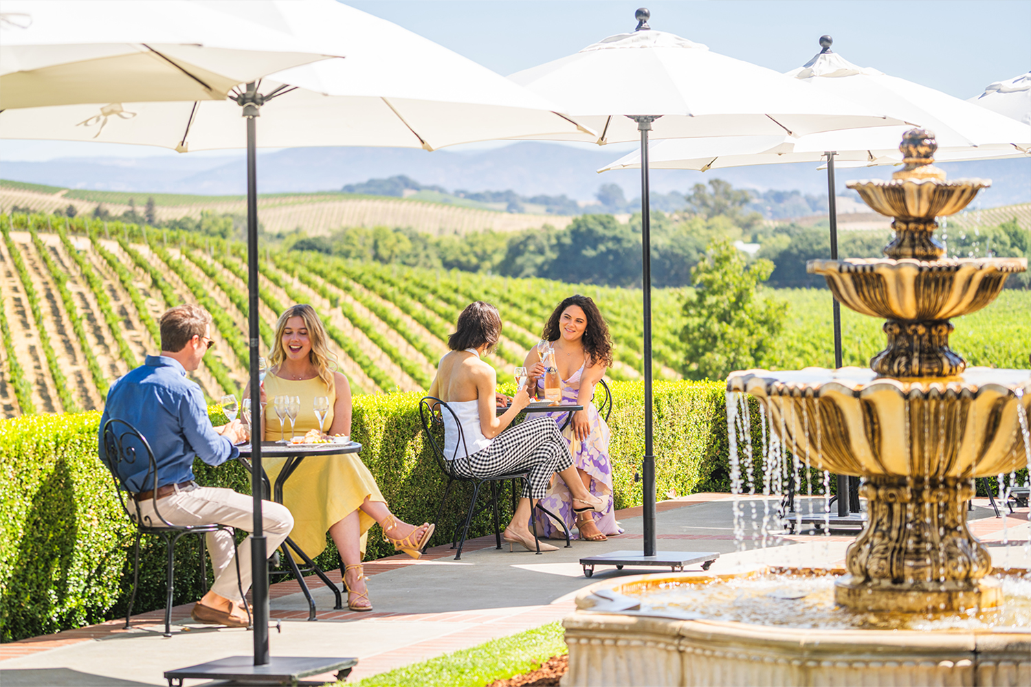 Fountain and vineyard view