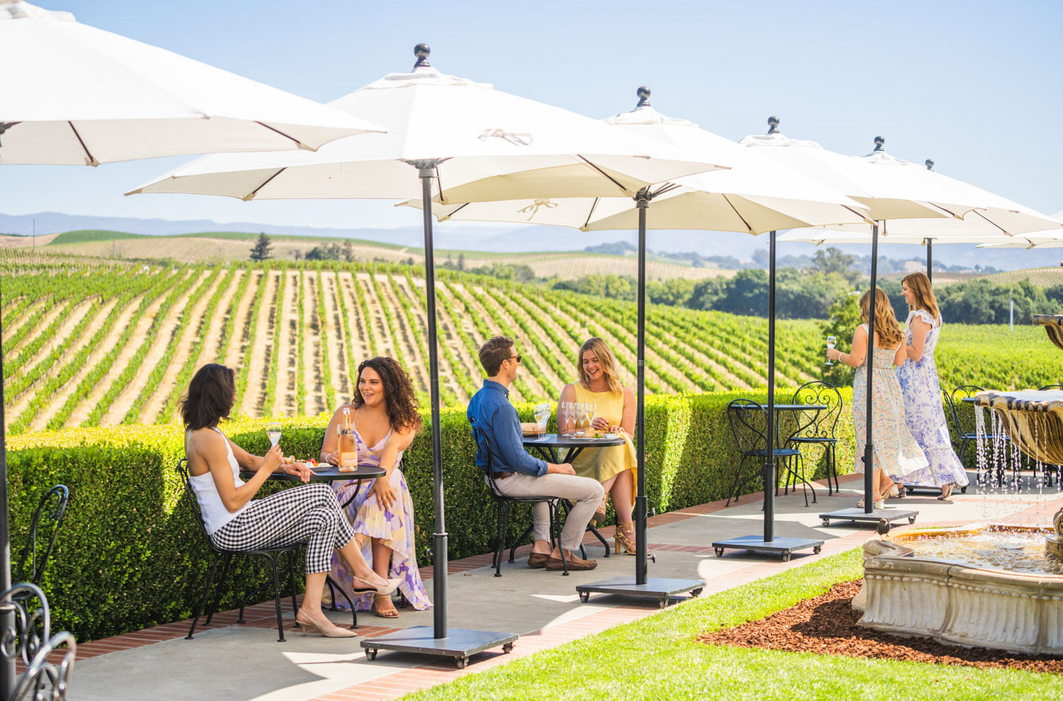 Tastings on the terrace
