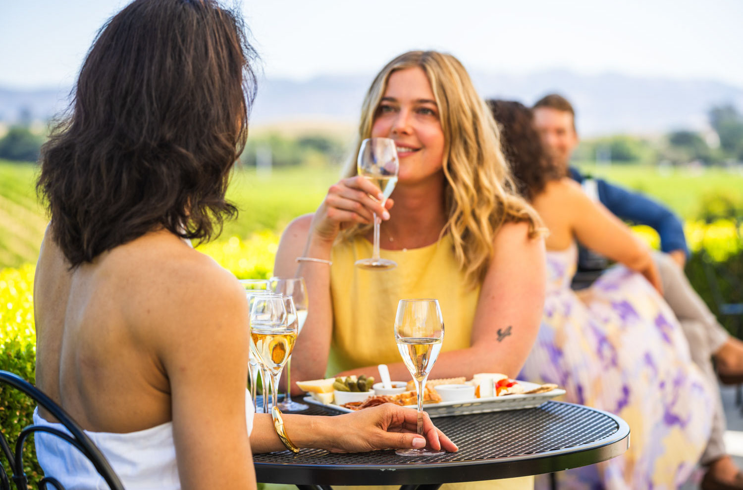 tasting on the terrace with fountain