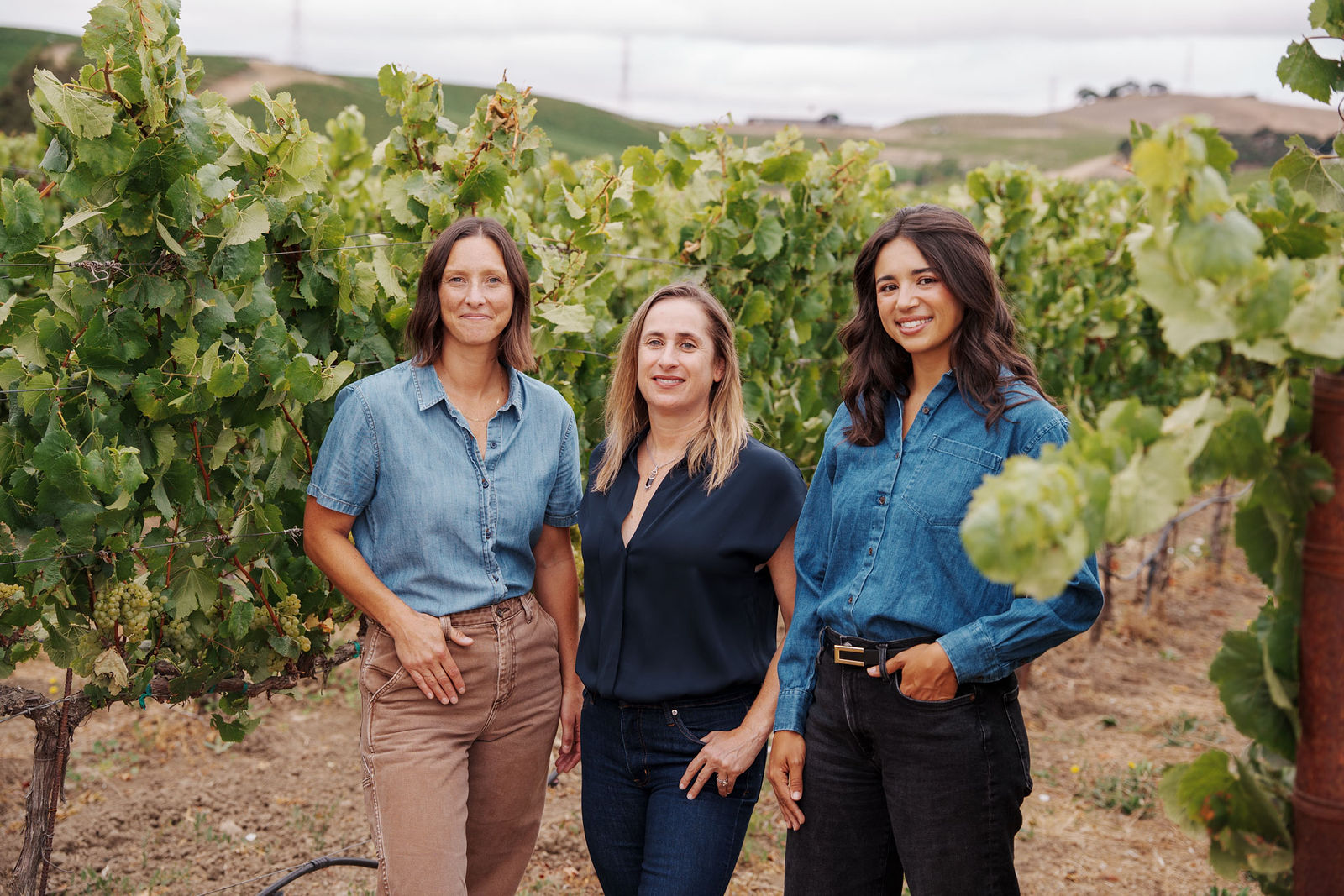 Entre Amis Vineyard