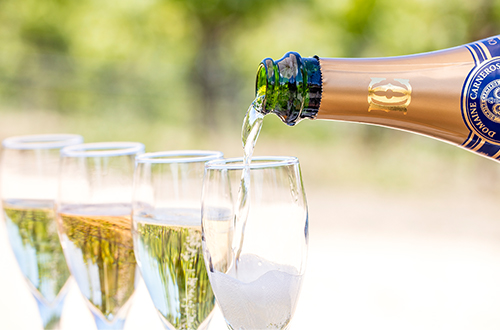Pouring a glass of Domanie Carneros sparkling 